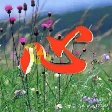 ⁵²⁰初心❤️