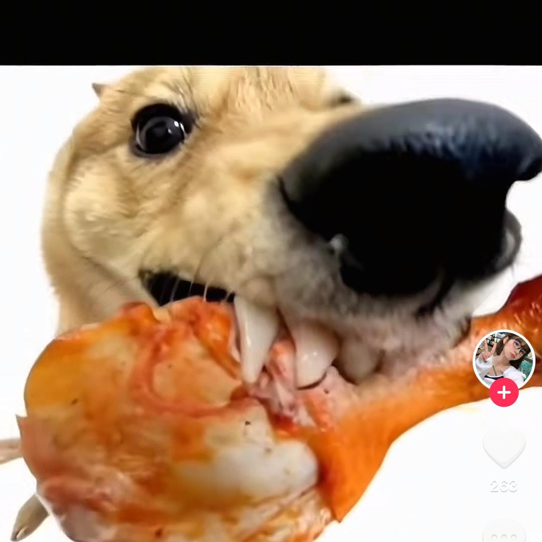 爱吃大大的鸡腿