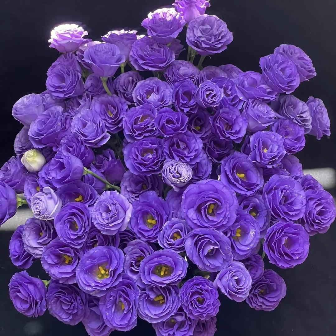 幕屿花阁