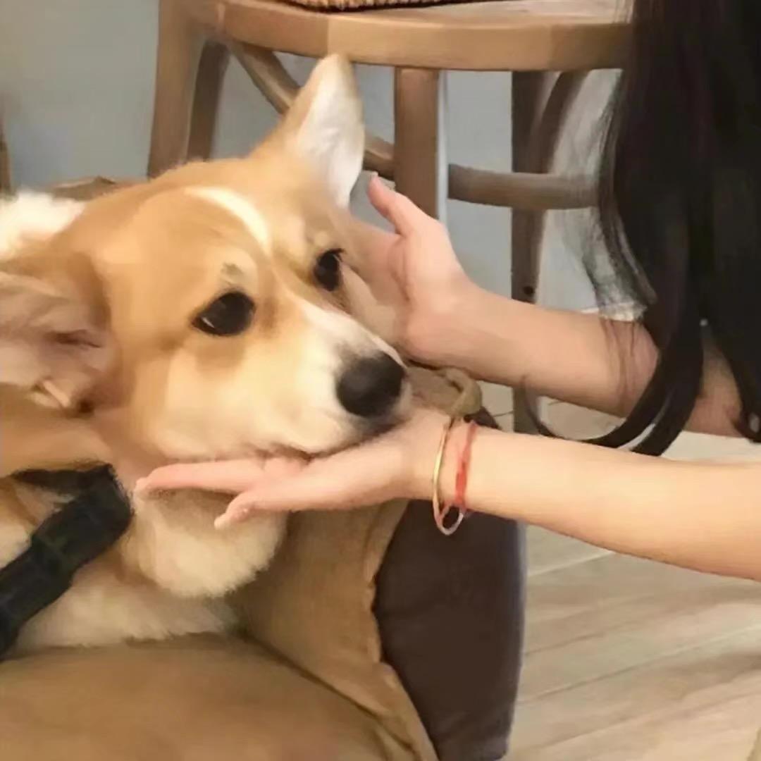 小螃蟹（香辣蟹）