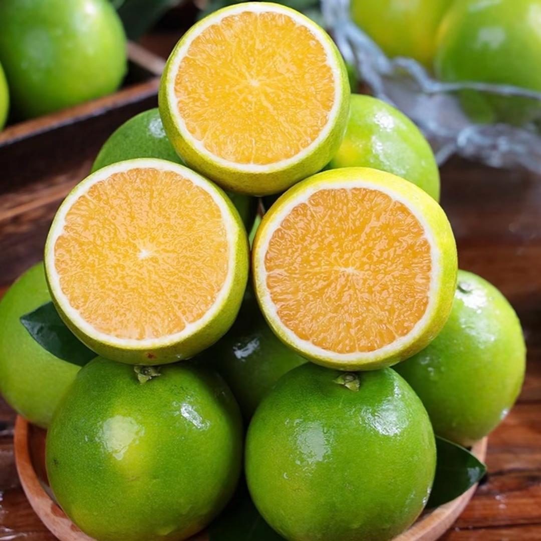 枝头鲜果🍊