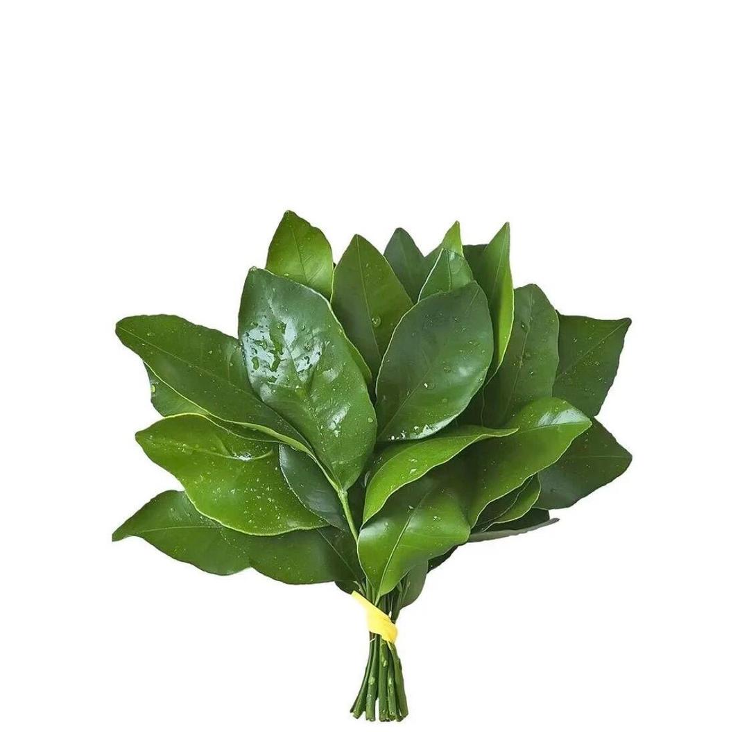 小羊困了