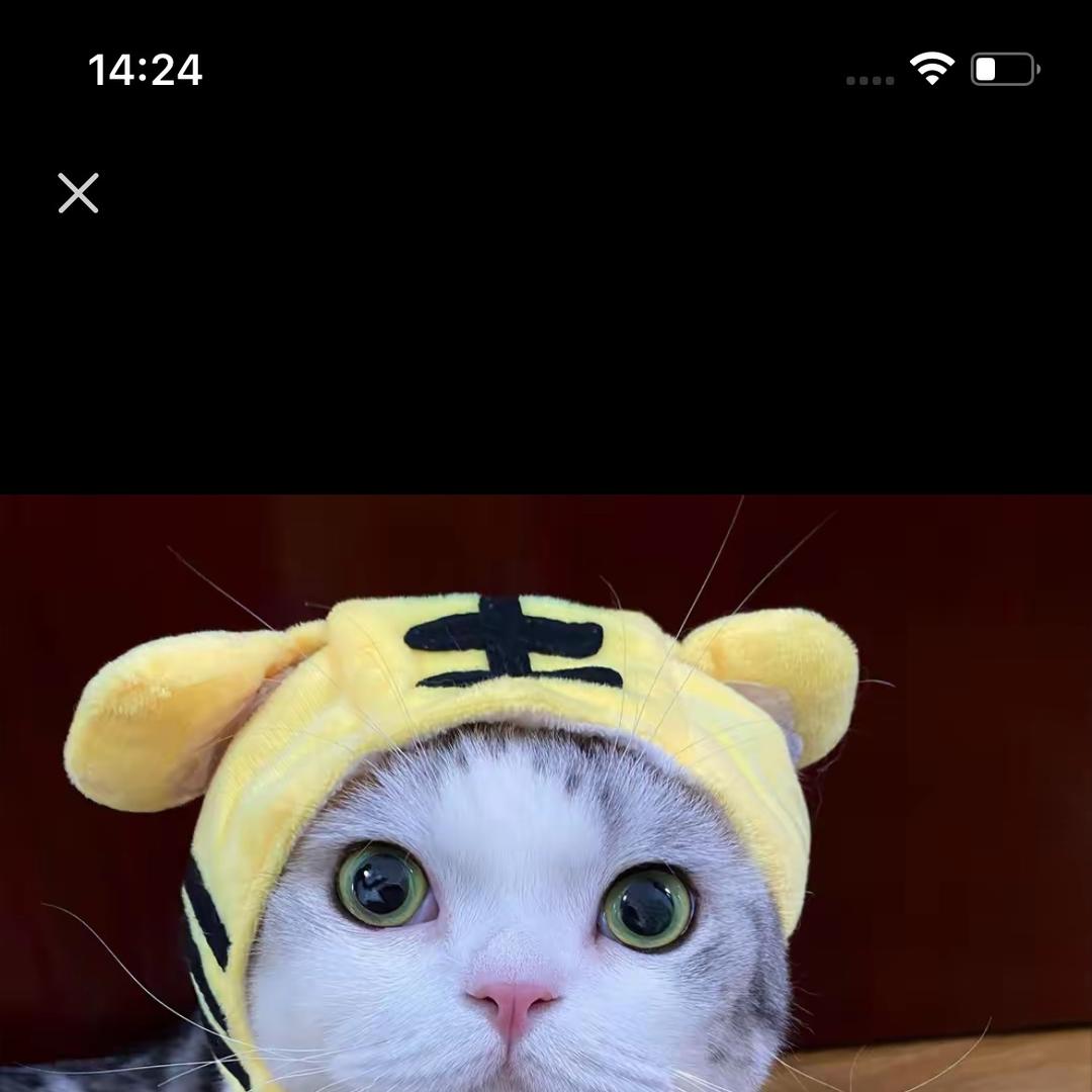 闲闲日常穿搭