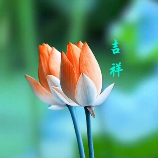 吉祥