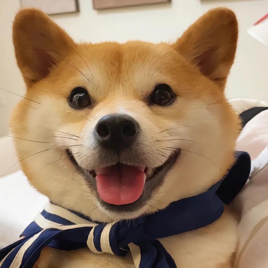 本本🌞
