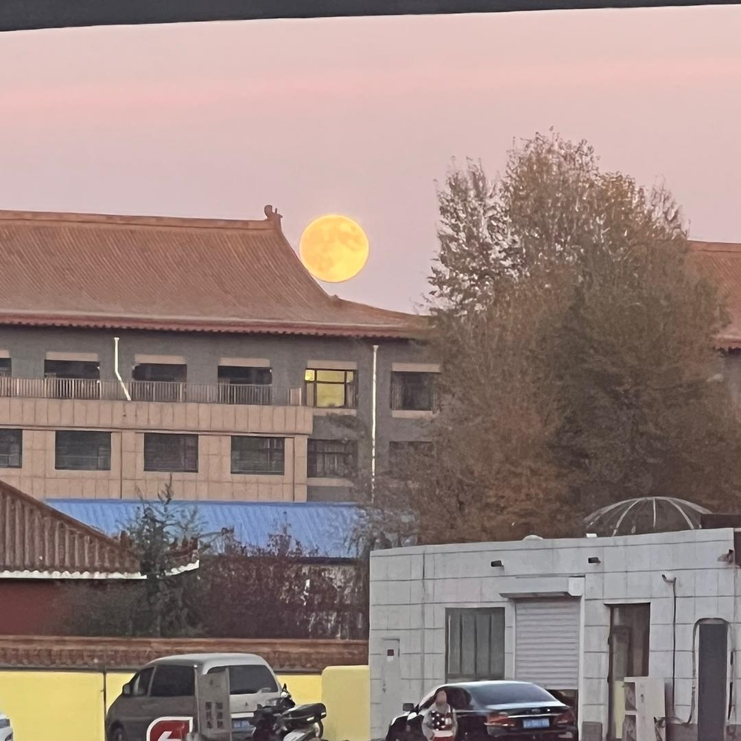 一颗糖豆