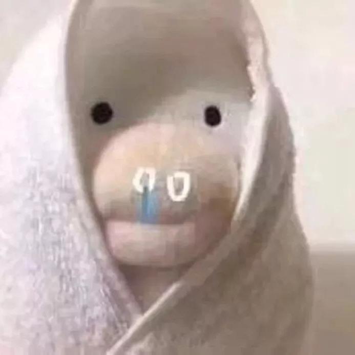 桔𖦹ࡇ𖦹.ᐟ.ᐟ