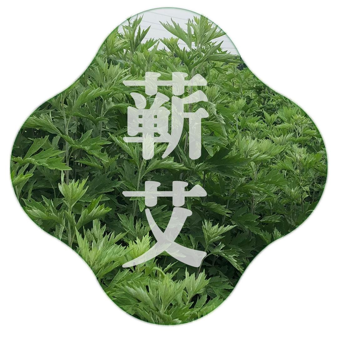 艾灸师【湖北.蕲春】