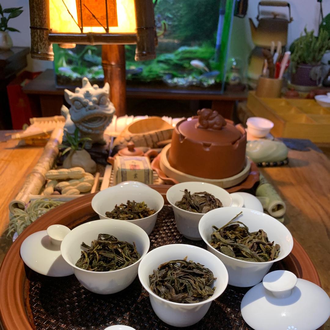 张诺-【梵嵘单枞供应链】