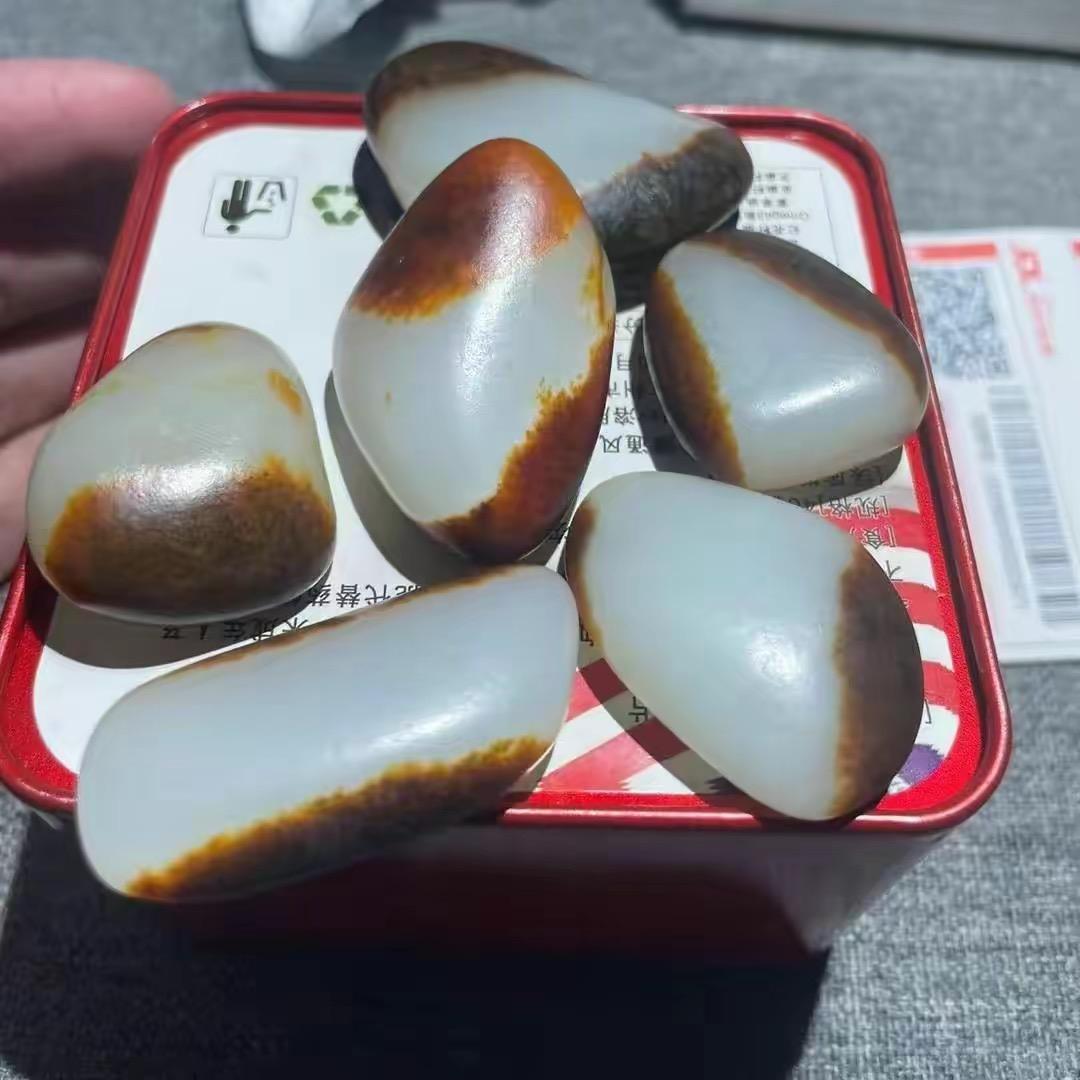 杨阳籽玉1
