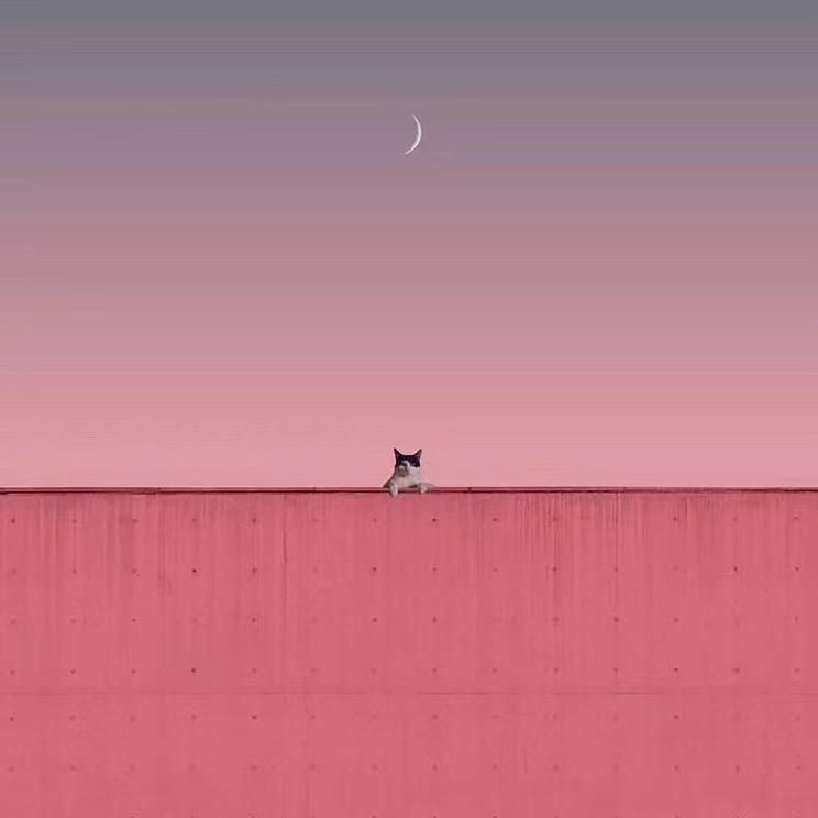 上海生活实景播