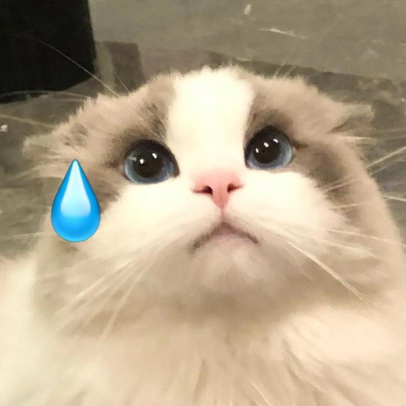 走马🥵