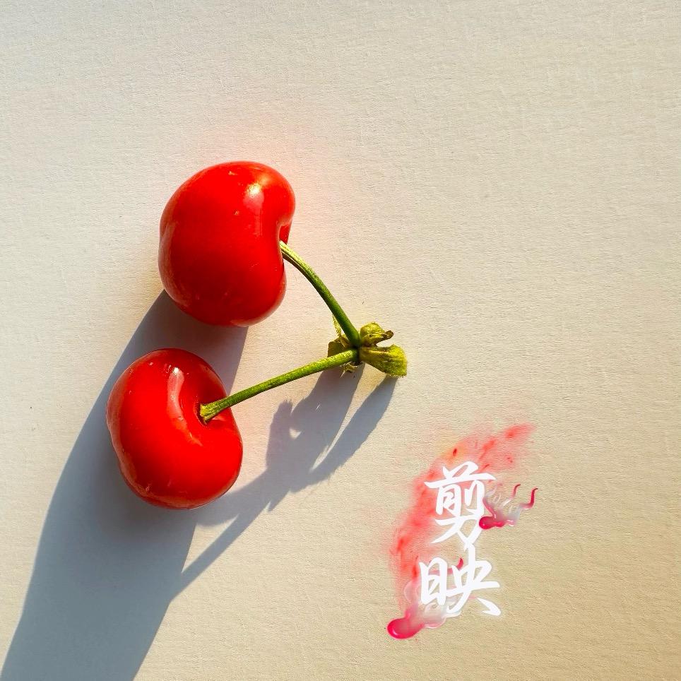 渡梦人