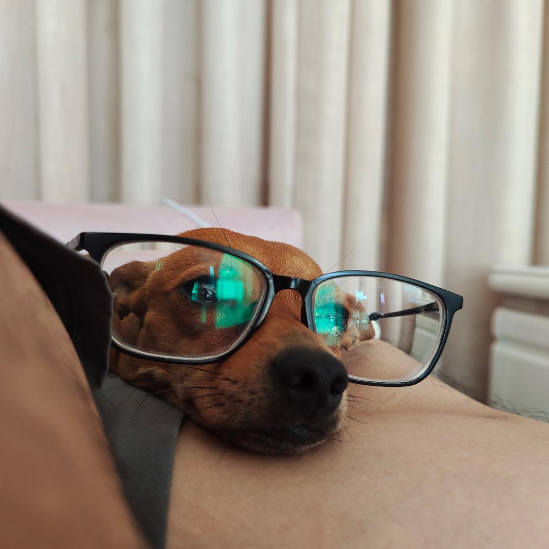 莉莉丝的手作花园