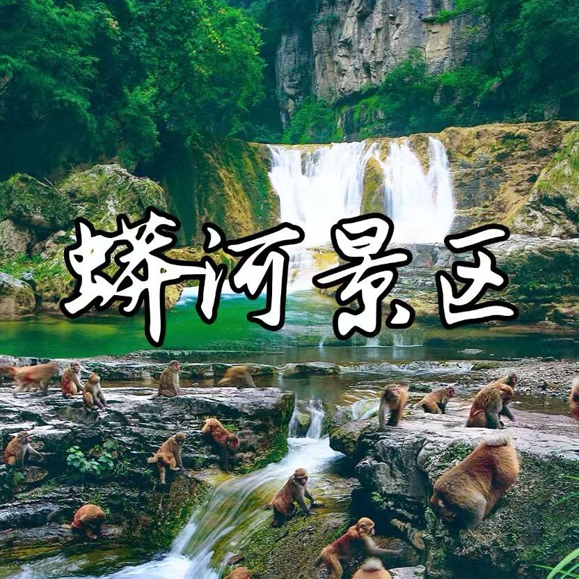 蟒河景区Q