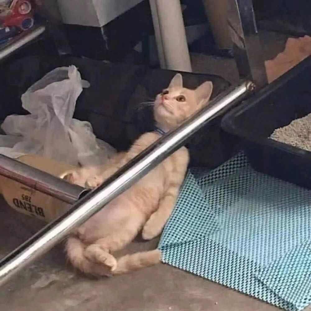 别离。
