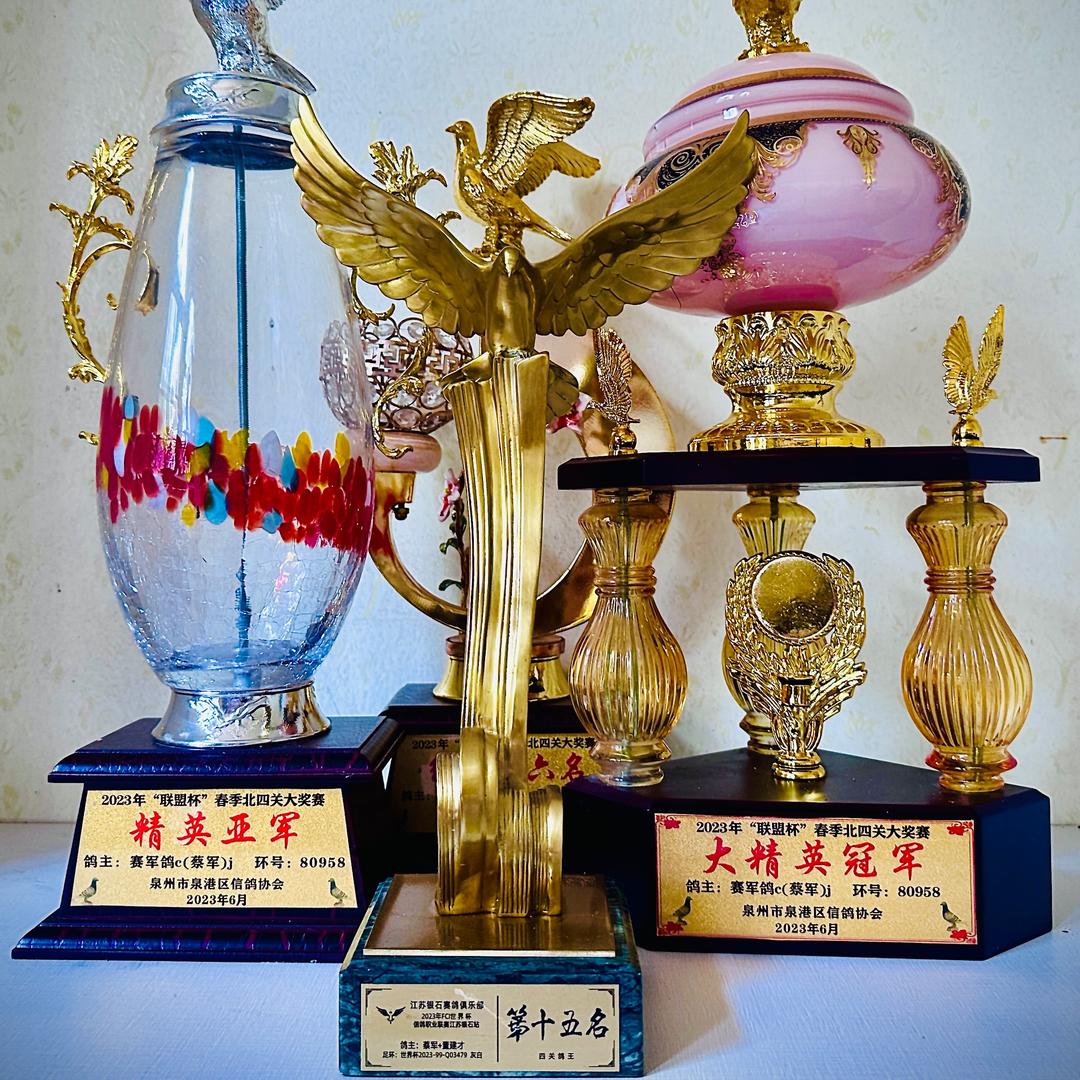 赛军鸽c（蔡军）j 🎺🎺