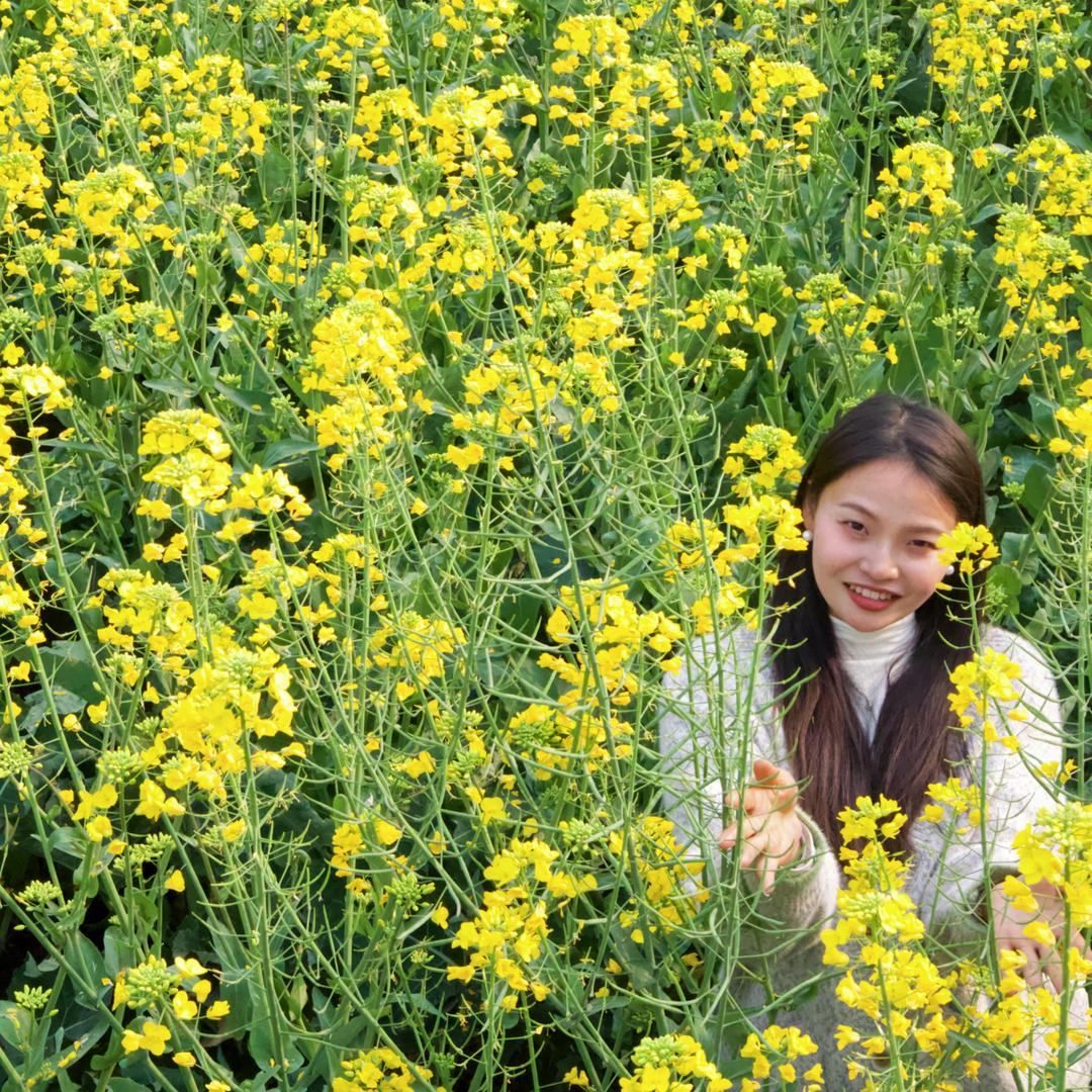 王小小小懒