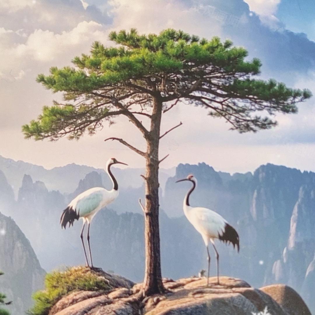 玄门山净