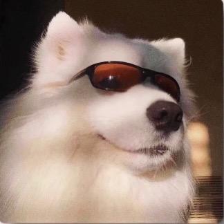 凤凤凤年