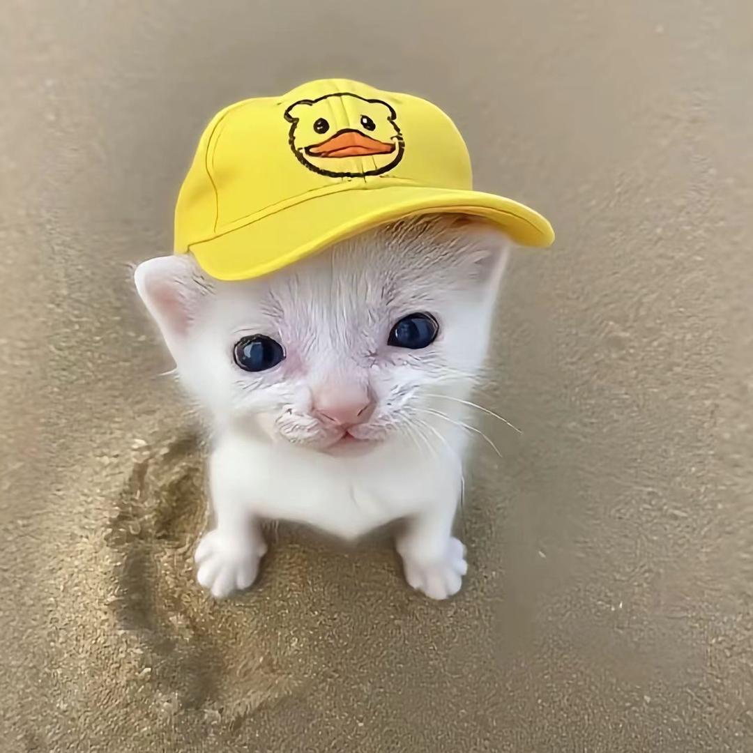 菠萝小薇