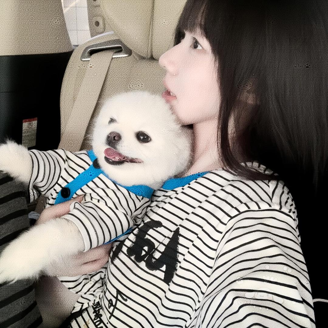 我爱辰辰