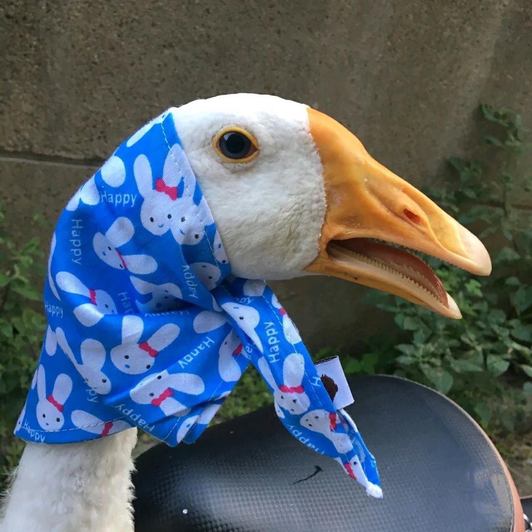 1011_