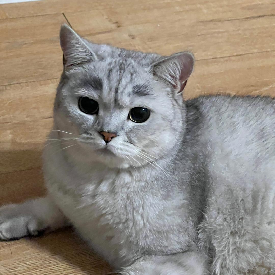 W W K