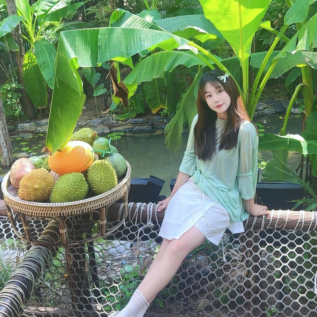 橘枳柴