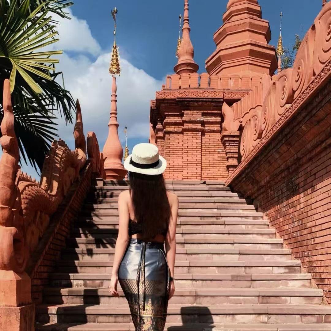 一只大脸猫🐱2