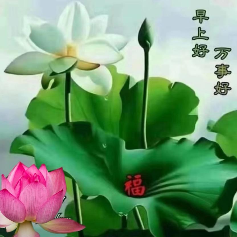 相逢是缘