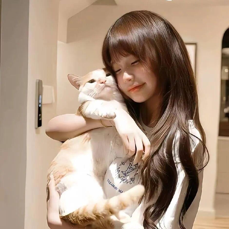 夜色糯米球（零基础友好版