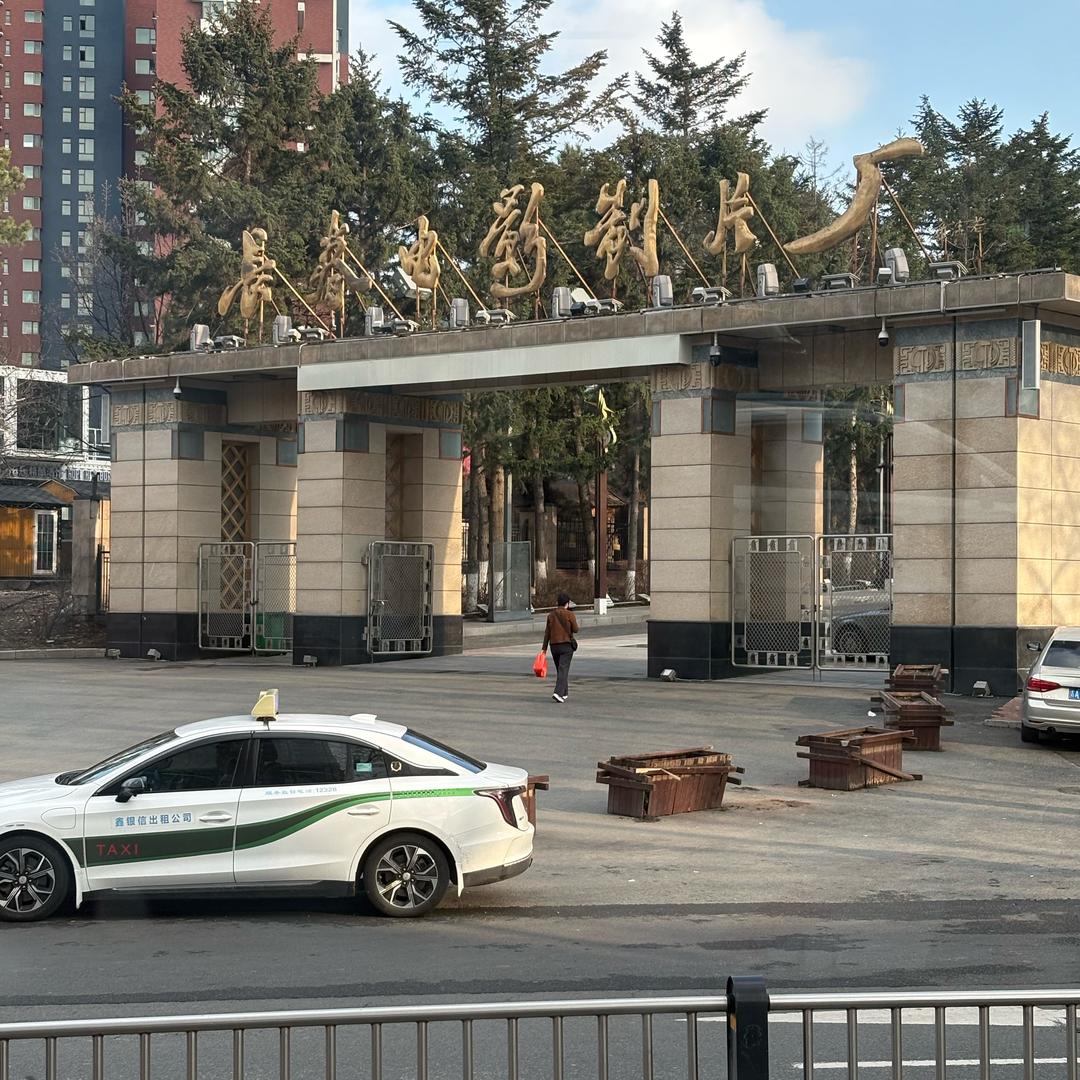 谁家过年不吃饺子