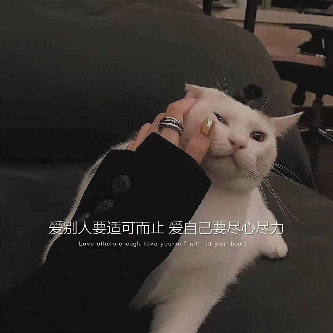 𝐹𝑜𝓋𝒾𝓀🌲（减肥版）