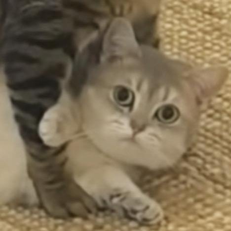 看到我名字请叫我喝水