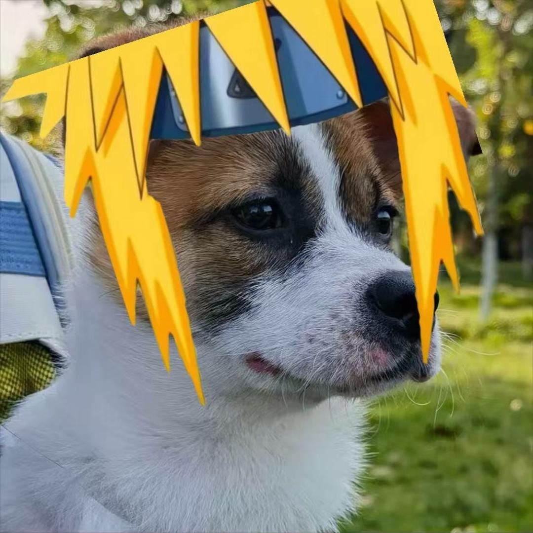 宇智波三三（世一摸头）