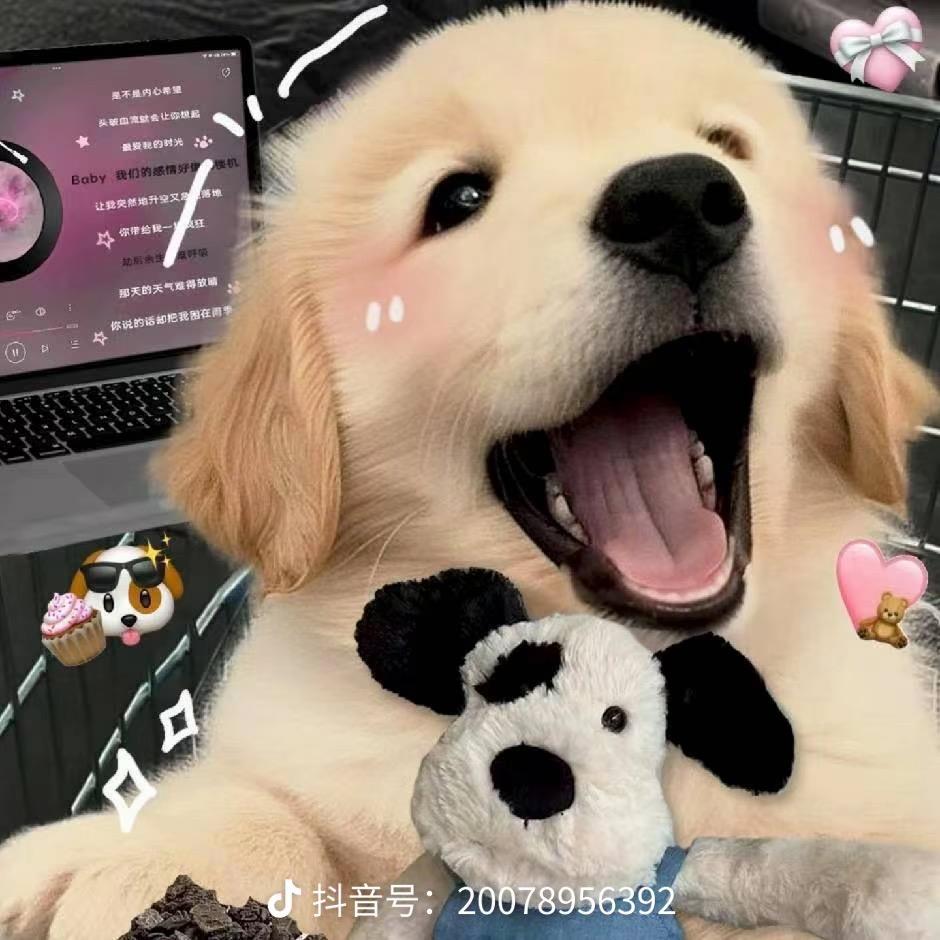 眼里只有乖宝