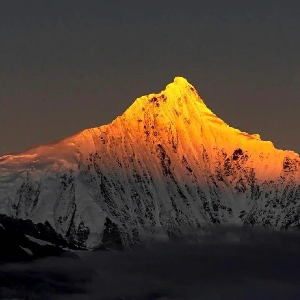 泽梵奢驾出行🎗