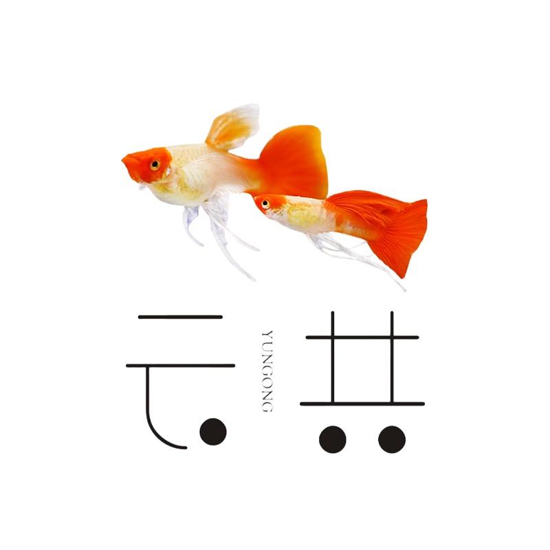 渔升龙门