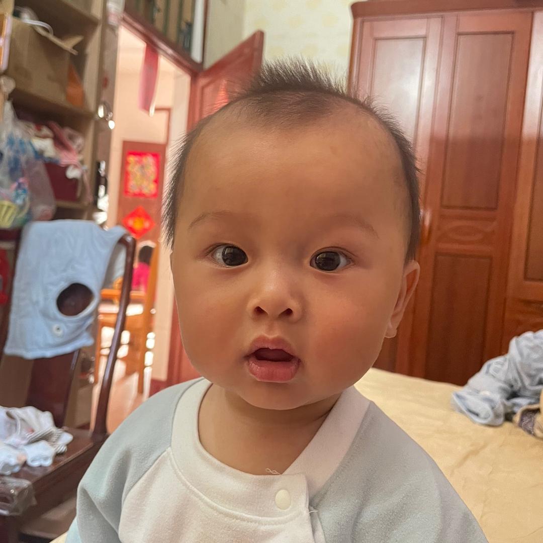 西伯利亚的枫叶_