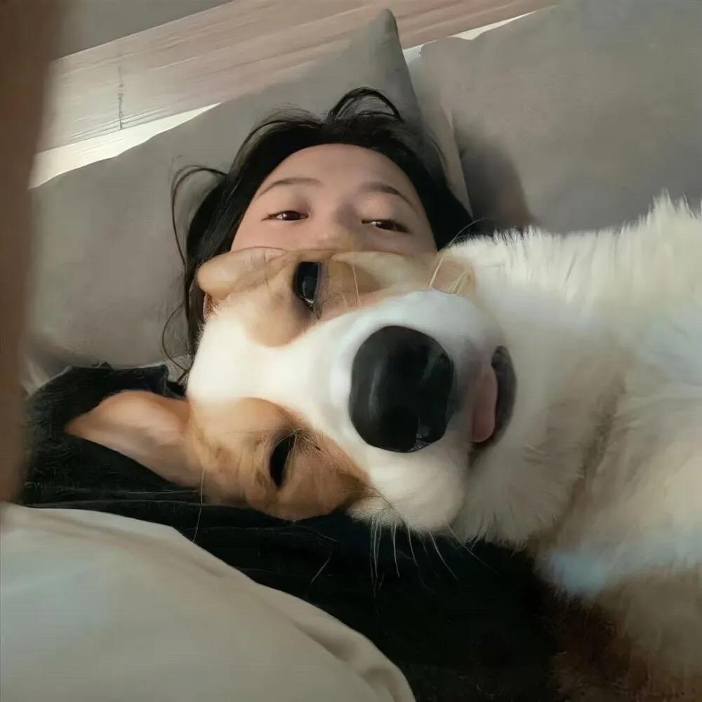 怡