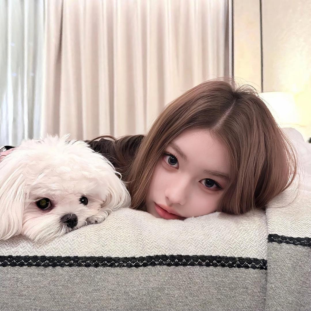孤独的狼（等退休）