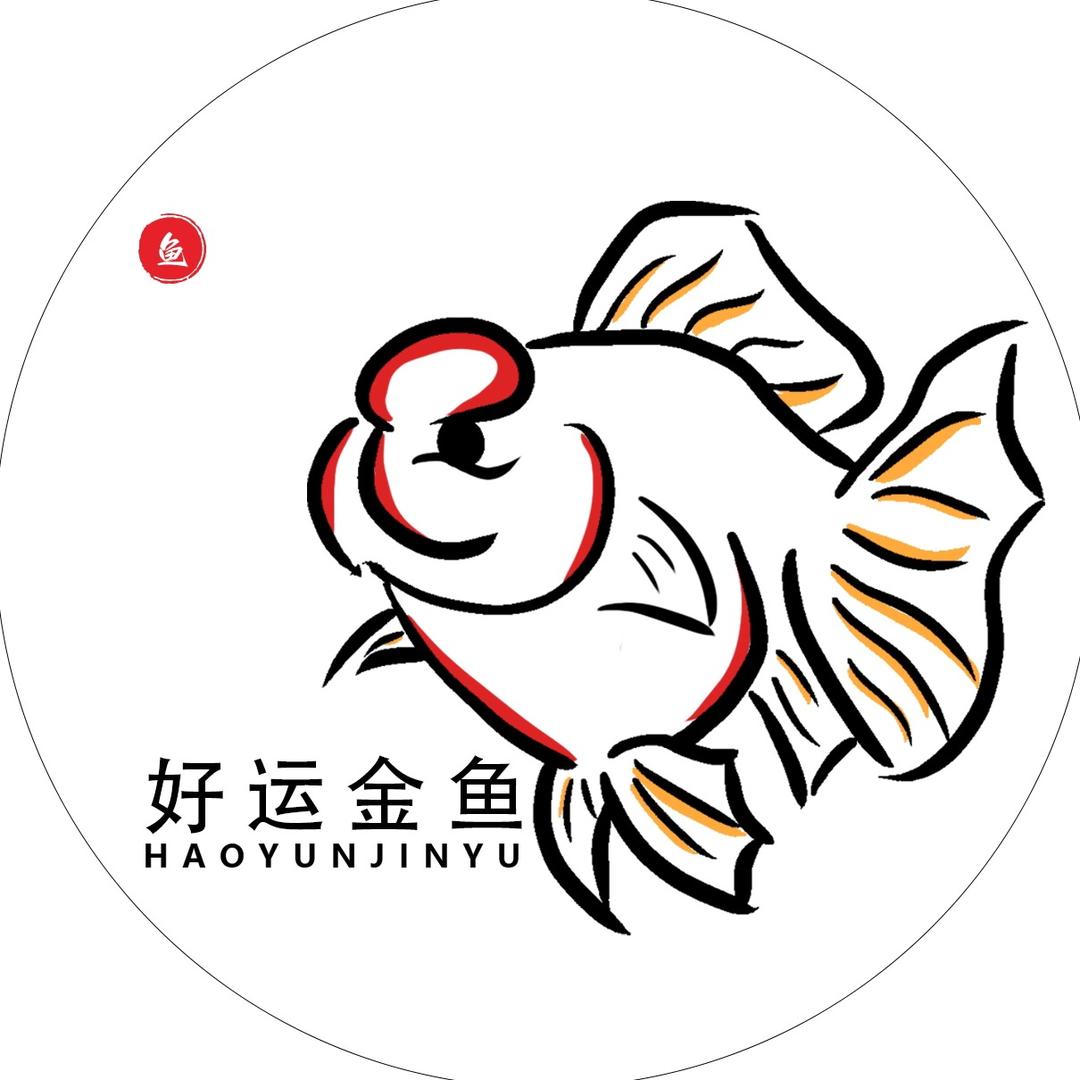 好运金鱼