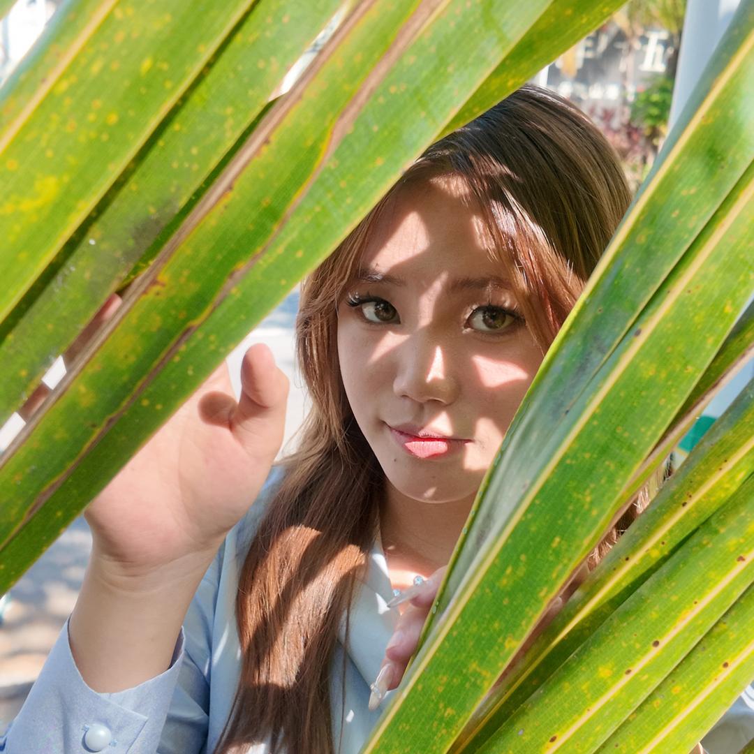 西双版纳小喃精品二手车