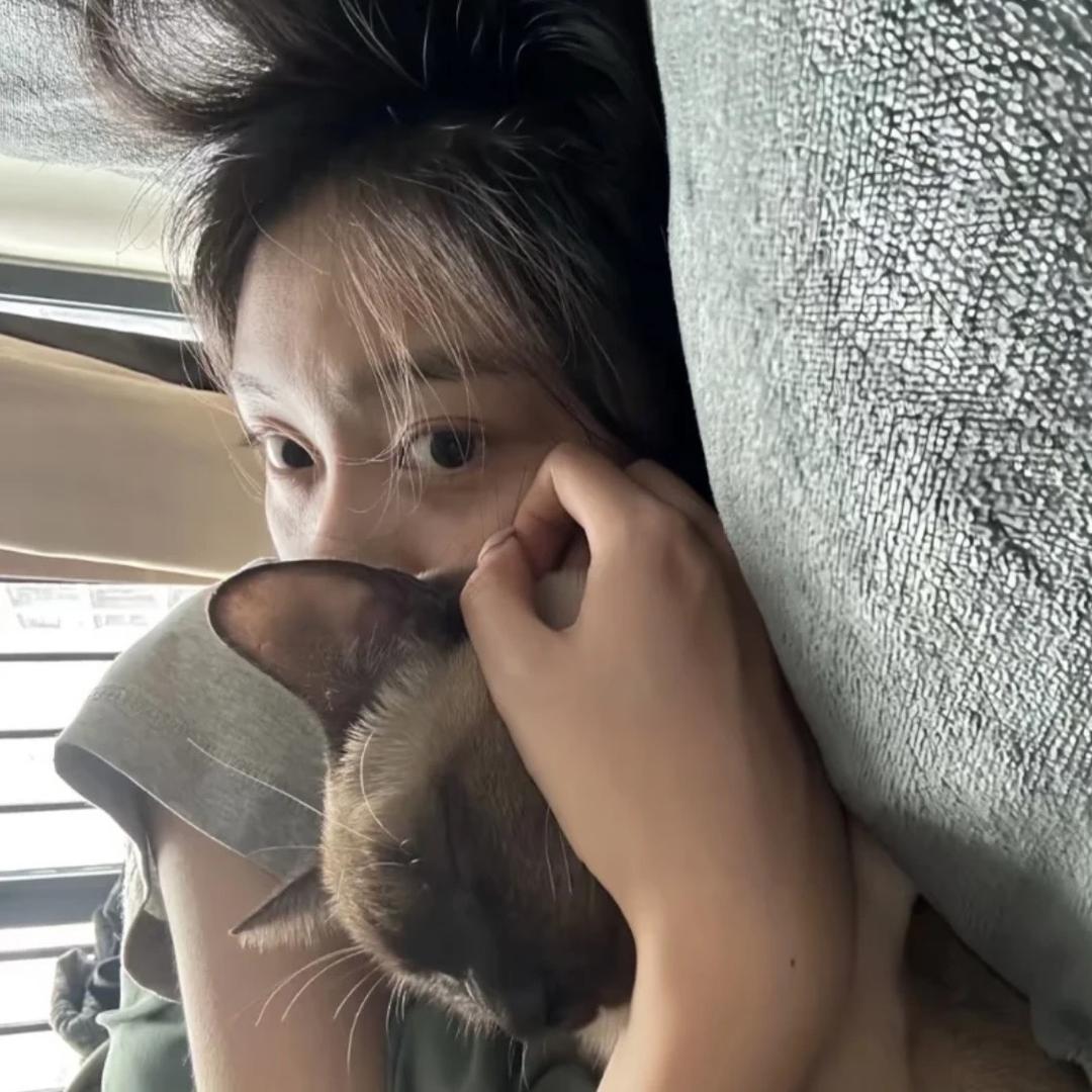 流浪小狗