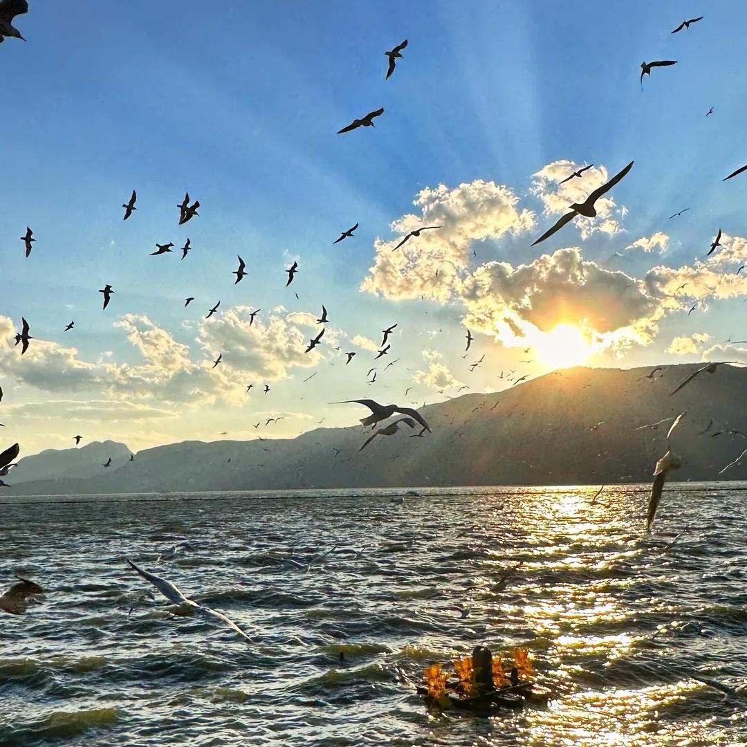 顺风顺水