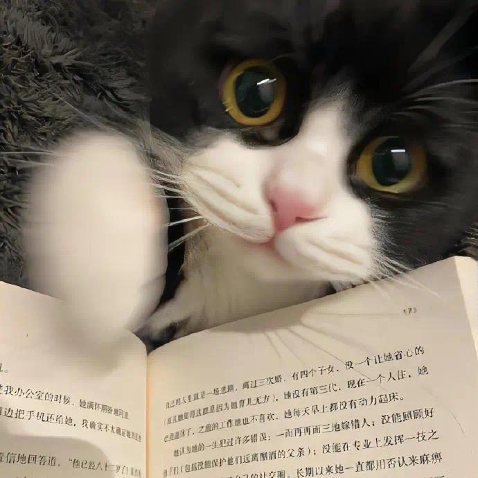 蔓予莓🌈