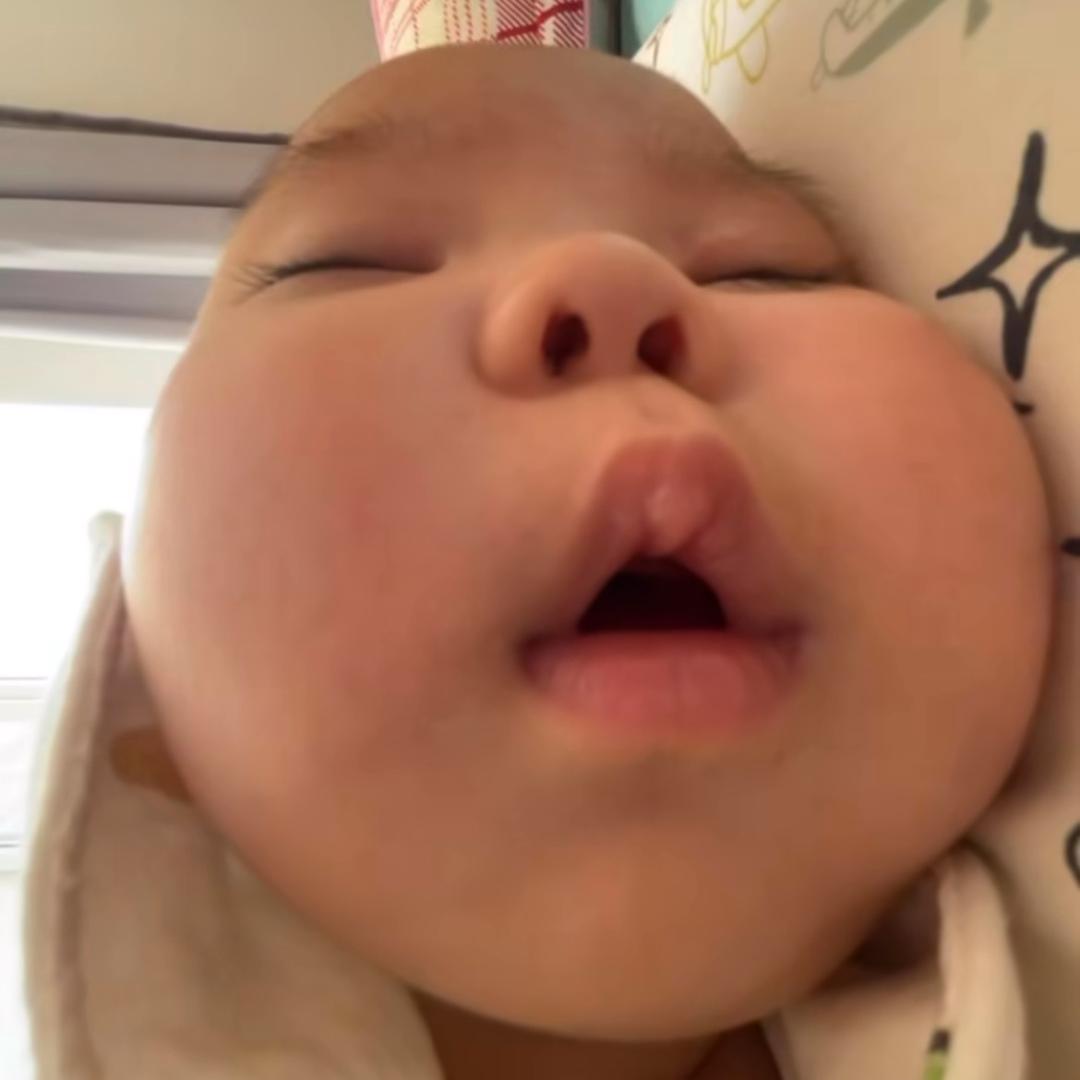 呆宝66