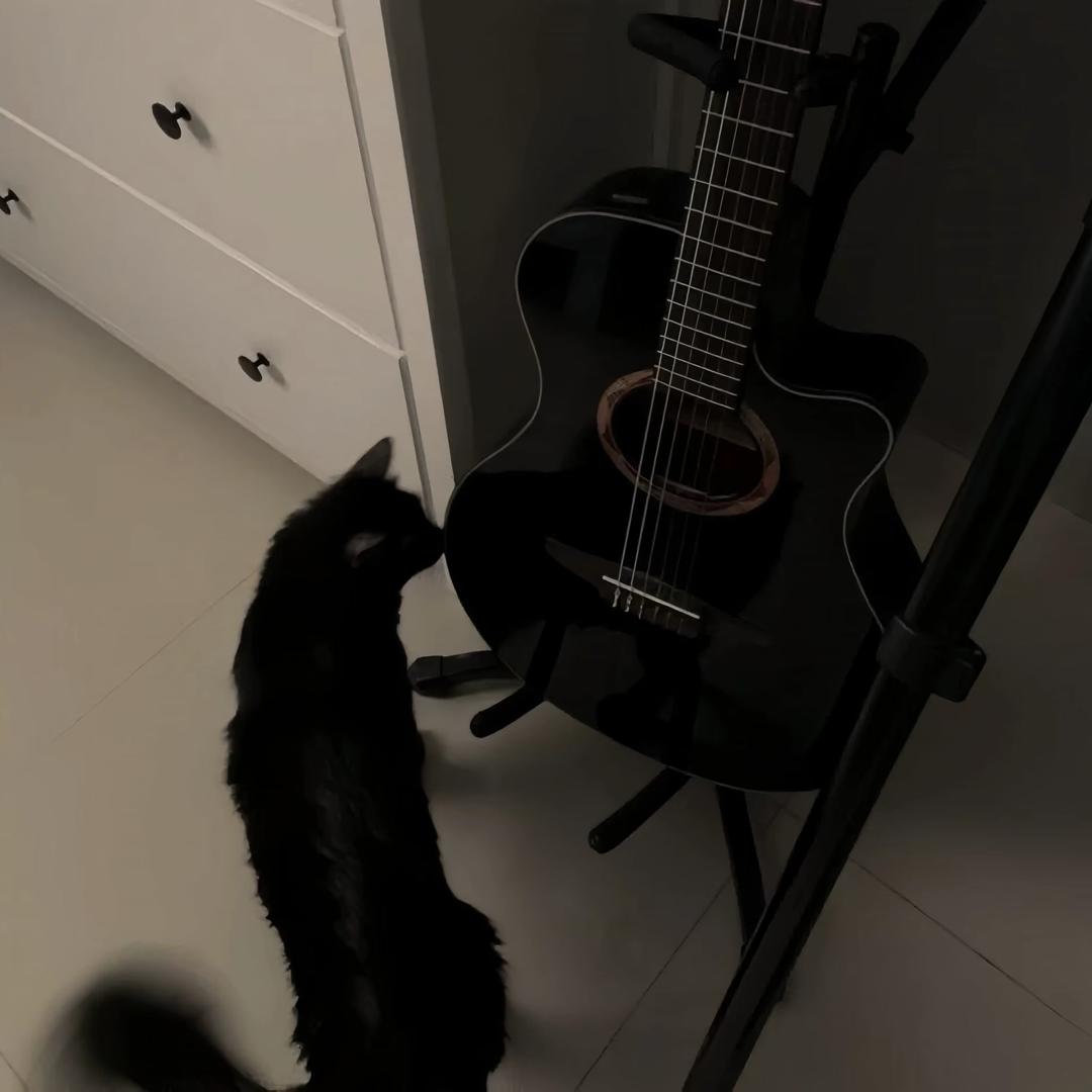 R ㅤㅤㅤㅤㅤ   ㅤ