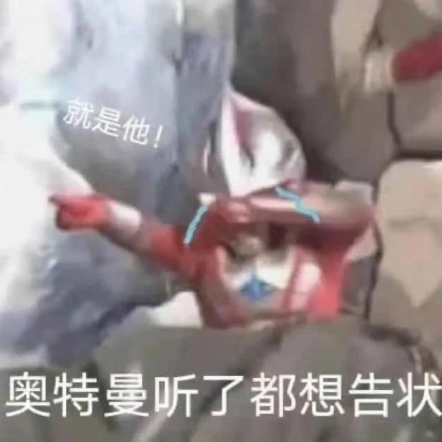 桉